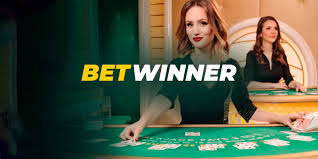 BetWinner Customer Support - Your Guide to Effective Assistance