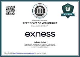 Discovering the Potential of Exness Forex & CFDs Discovering the Potential of Exness Forex & CFDs