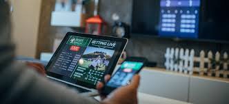 Exploring the Features and Benefits of Afiro Bet