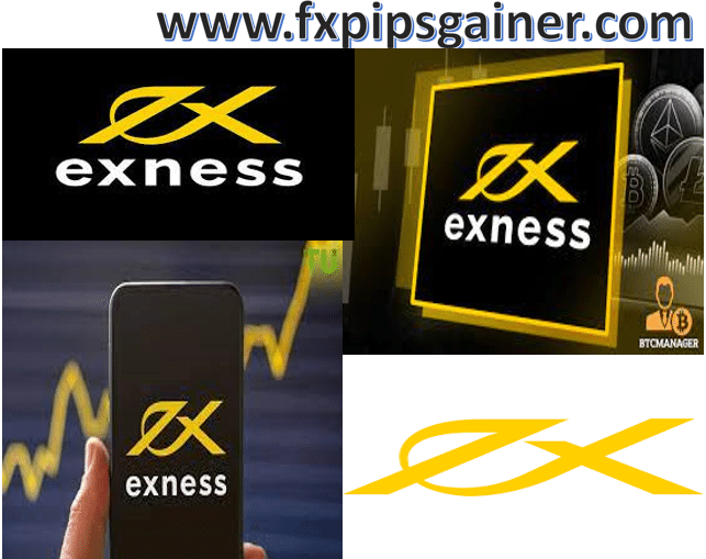 Maximize Your Trading Potential with Exness Investor Account Maximize Your Trading Potential with Exness Investor Account