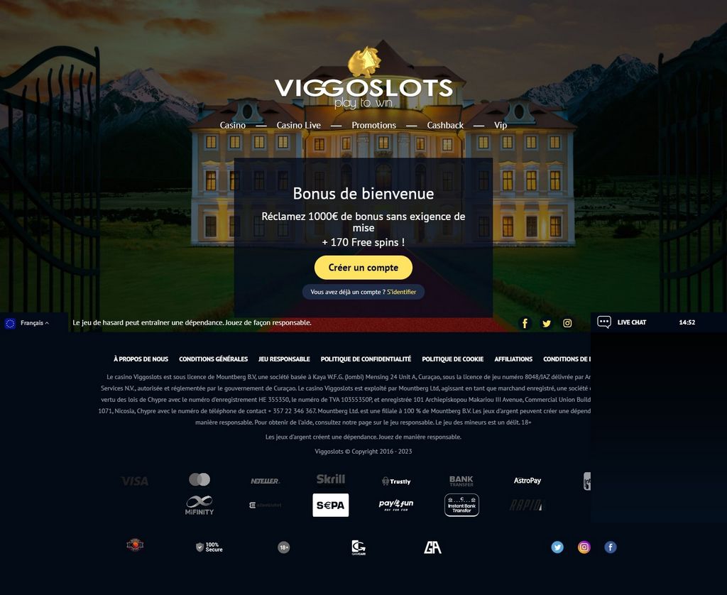 Programme d'offre de bonus du casino en ligne ViggoSlots