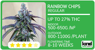 Understanding the Legal Landscape of Weed Seeds Ohio Understanding the Legal Landscape of Weed Seeds Ohio